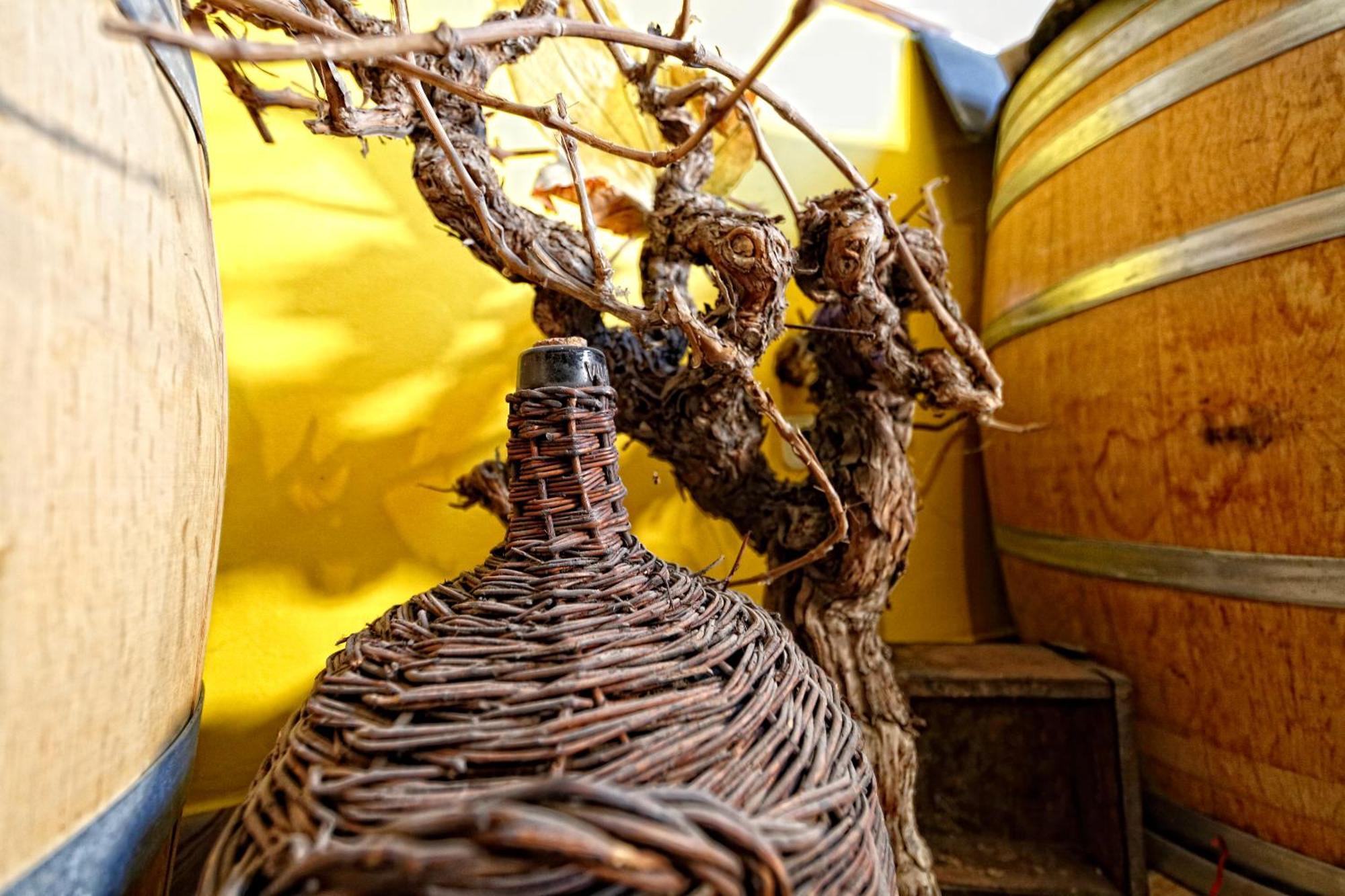 Alojamiento Rural Pueblo De La Ribera Peñafiel 部屋 写真