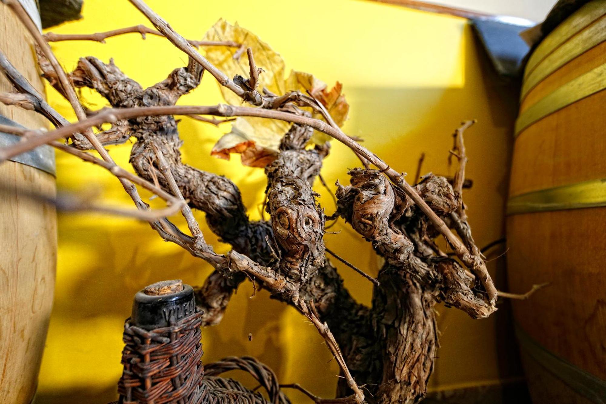 Alojamiento Rural Pueblo De La Ribera Peñafiel 部屋 写真