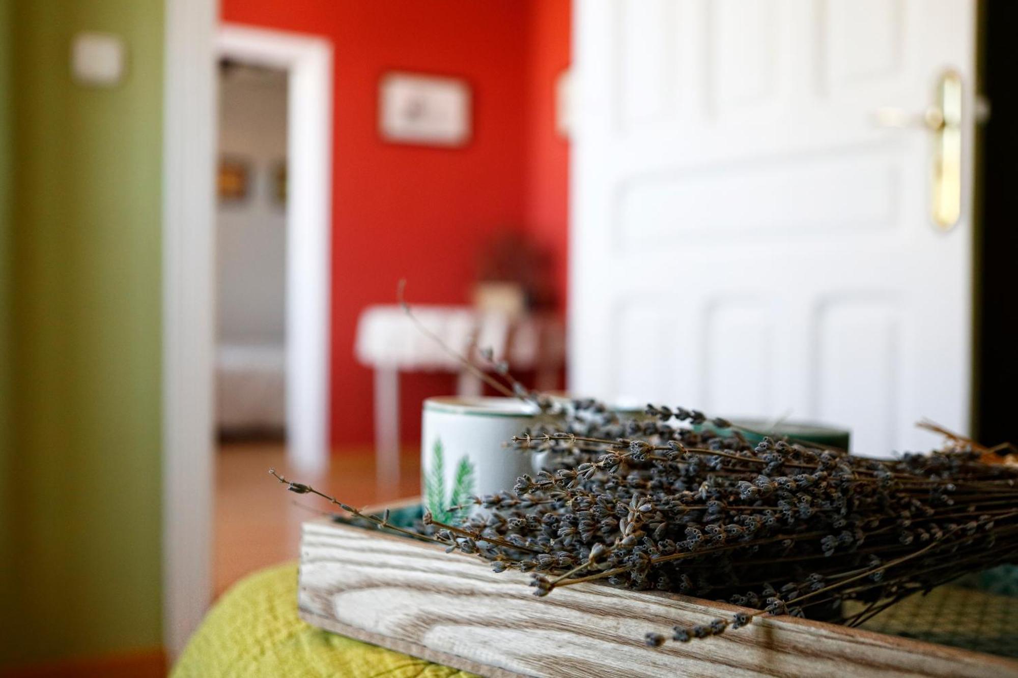 Alojamiento Rural Pueblo De La Ribera Peñafiel 部屋 写真