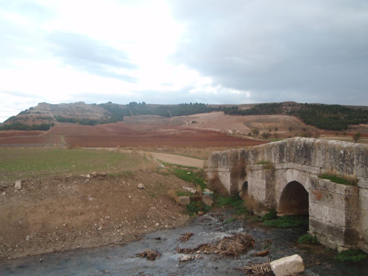 Alojamiento Rural Pueblo De La Ribera Peñafiel エクステリア 写真